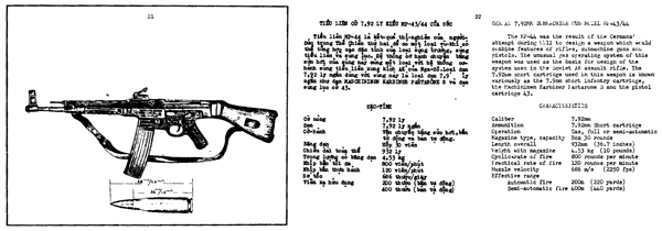 stg44.png