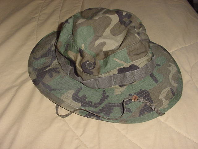 RDF_hat.jpg