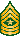 Sergeant Major