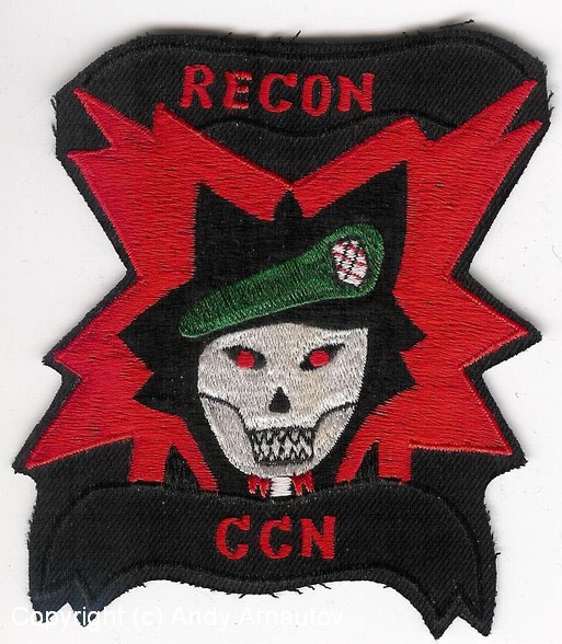 U.S.Special Forces unoff.patches 021.jpg